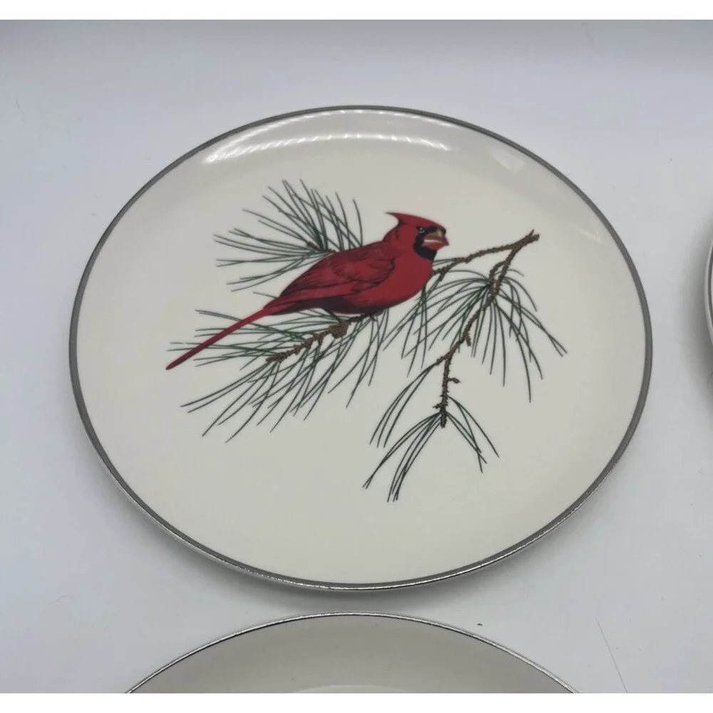 Crooksville usa songbirds